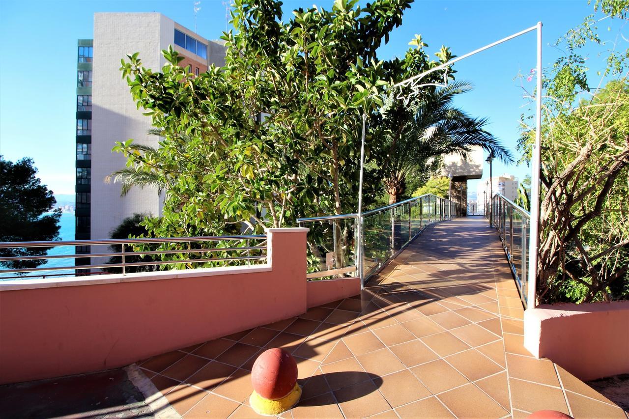 Don Miguel II 11-F Apartment Benidorm Exterior foto